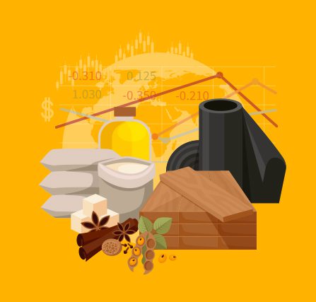 Consumer-Goods-Cloud-Accredited-Professional Vorbereitung